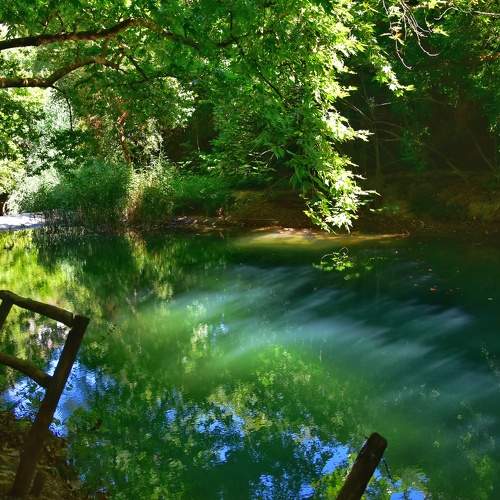 Photo #8597610