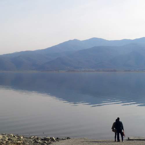 Photo #8597613