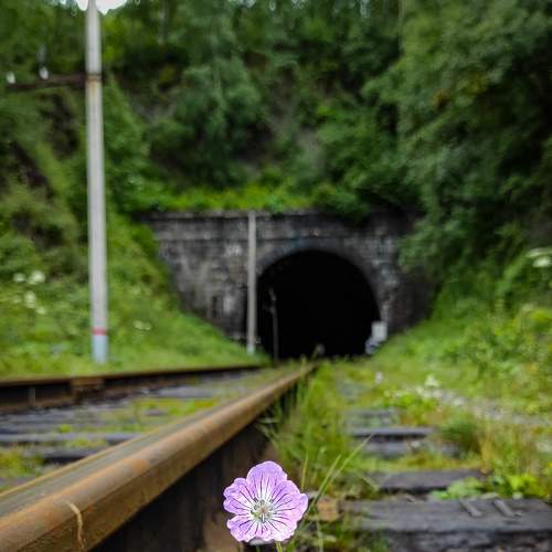 Photo #8597762
