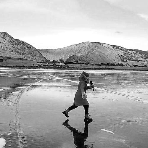 Photo #8597790