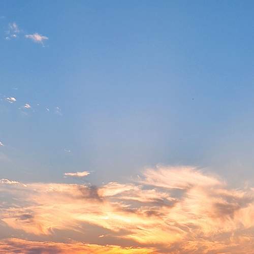 Photo #8597795