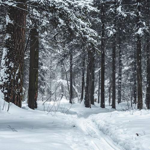 Photo #8597944