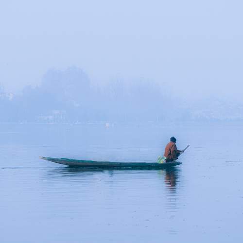 Photo #8598417