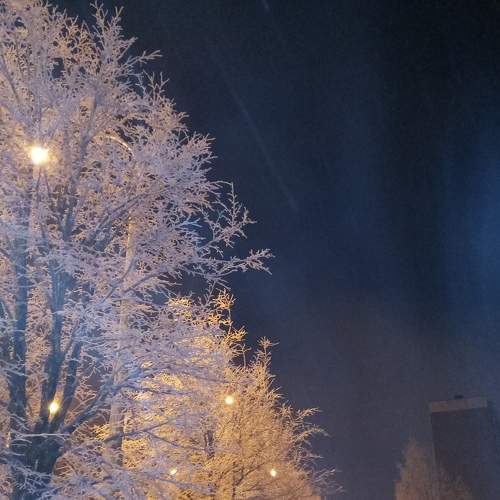 Photo #8598480