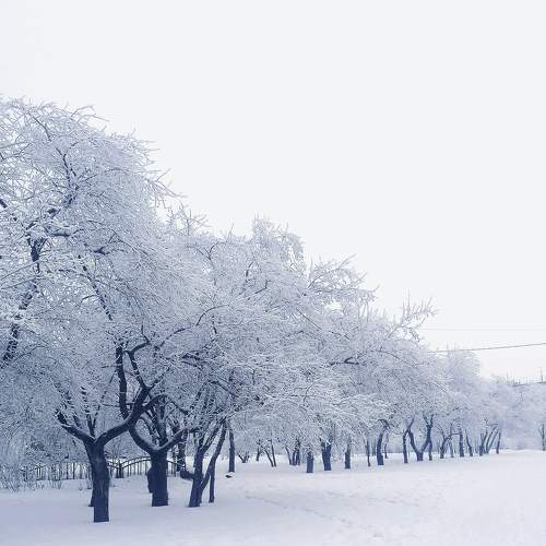 Photo #8598591
