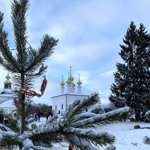 Photo #8598946
