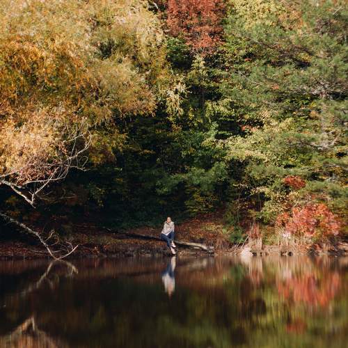 Photo #8599856