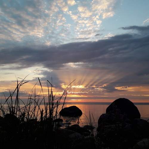 Photo #8600652