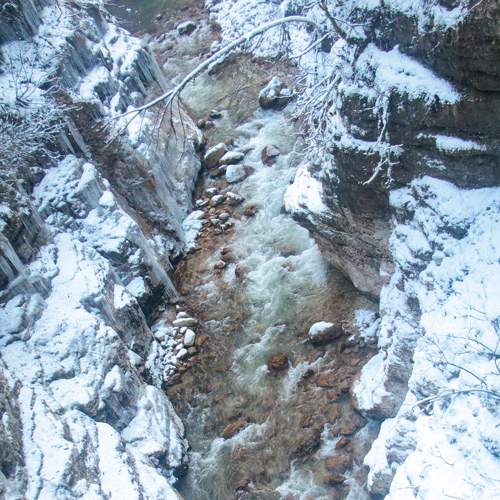 Photo #8600654