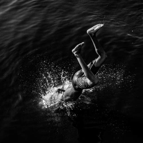 Photo #8600863
