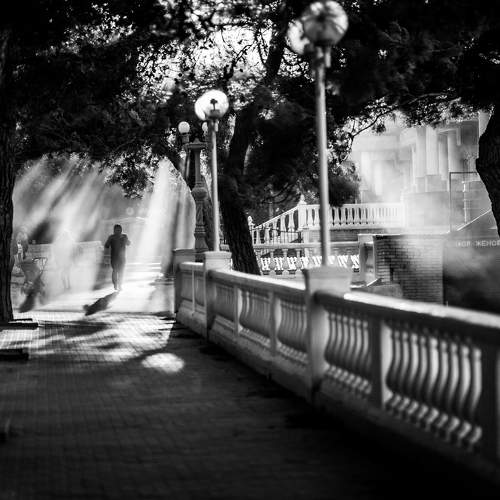 Photo #8601114