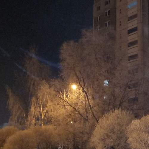 Photo #8602050