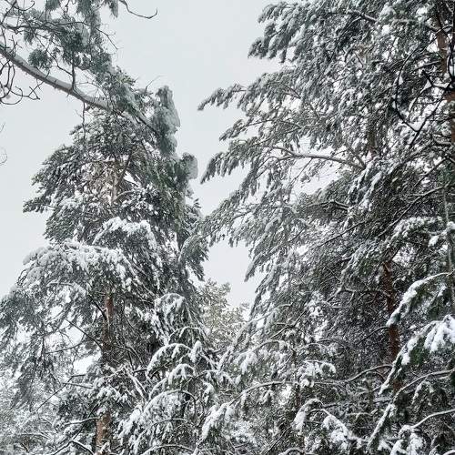 Photo #8602538