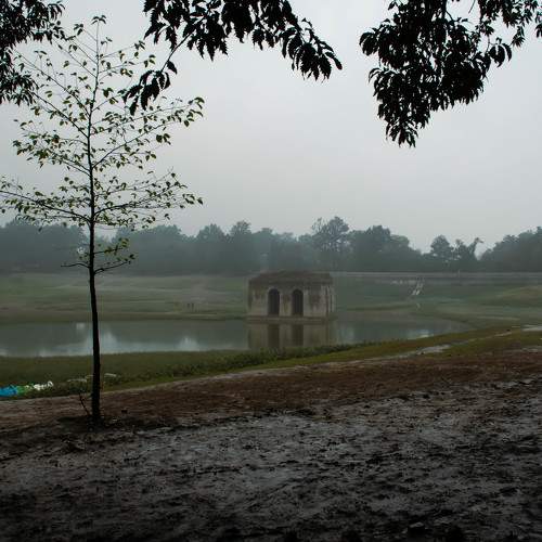 Photo #8602580