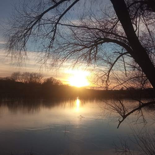 Photo #8602729