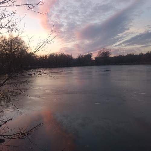Photo #8602758