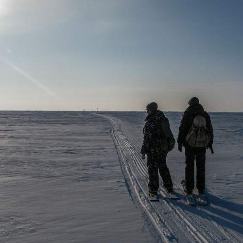 Photo #8602839