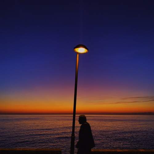 Photo #8603005