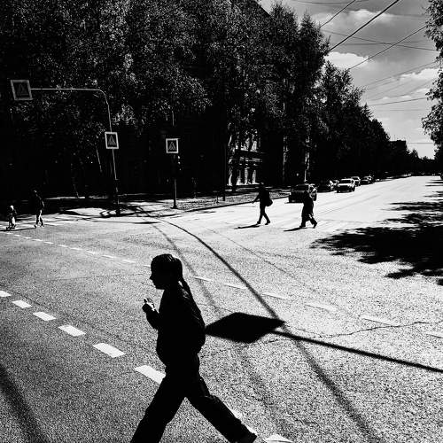 Photo #8603035
