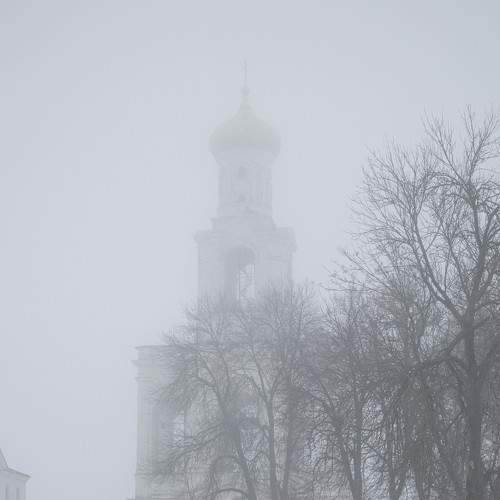 Photo #8603173