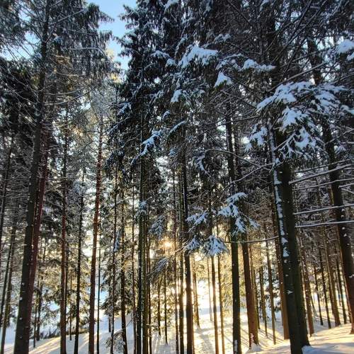 Photo #8603175