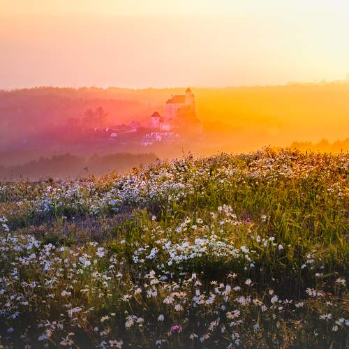 Photo #8603262