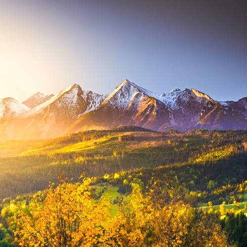 Photo #8603263