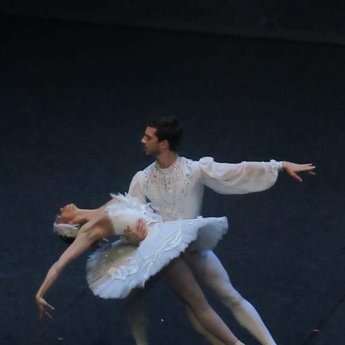 Photo #8603276