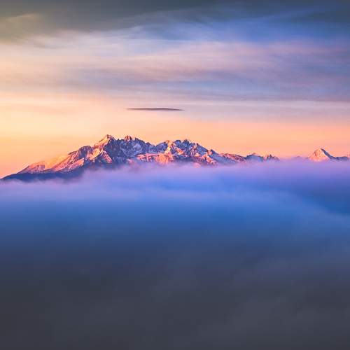 Photo #8603279