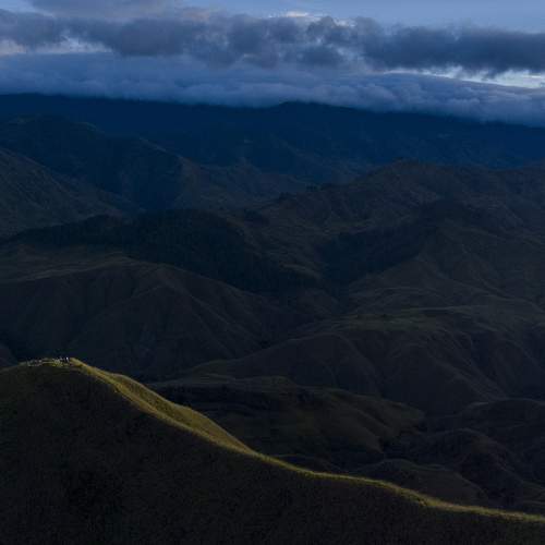 Photo #8603455