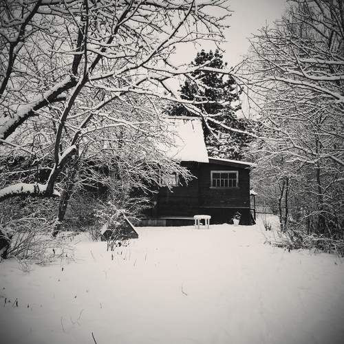 Photo #8603966