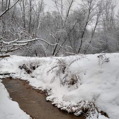 Photo #8604037