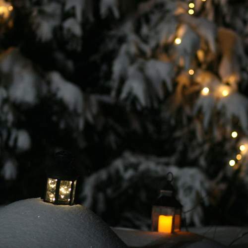 Photo #8604046