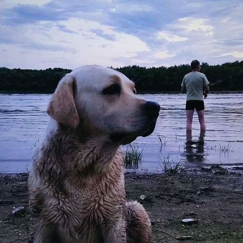 Photo #8604429