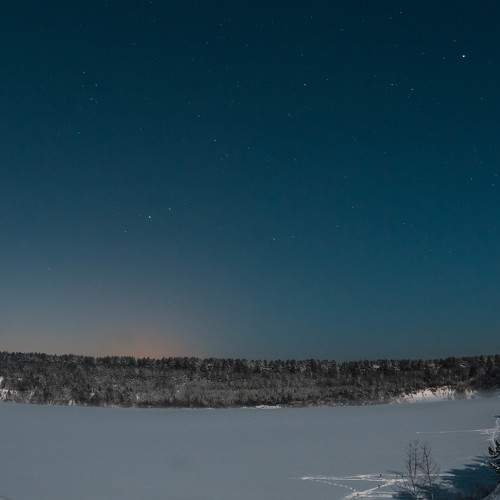 Photo #8604613