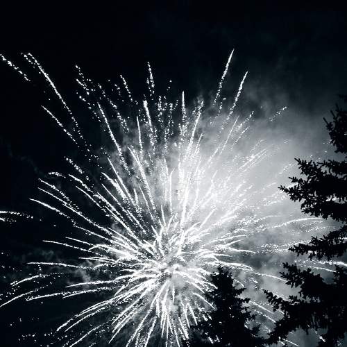 Photo #8604741
