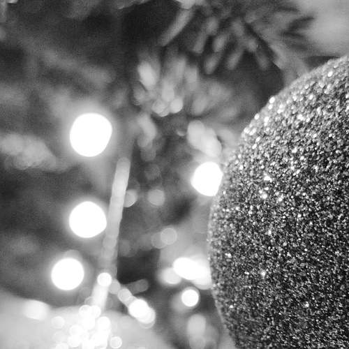 Photo #8604865