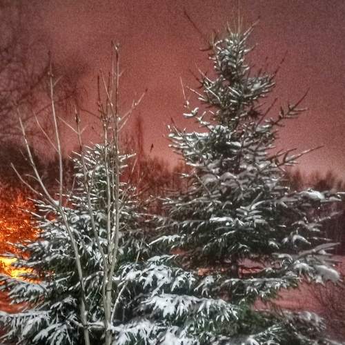 Photo #8605007