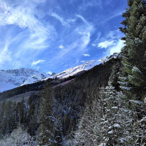 Photo #8605119