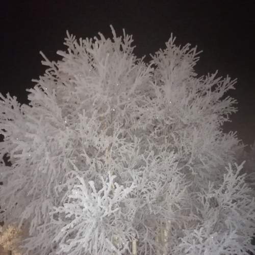 Photo #8605165