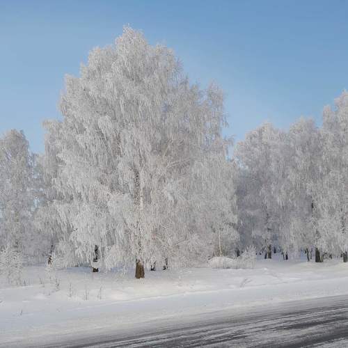 Photo #8605180