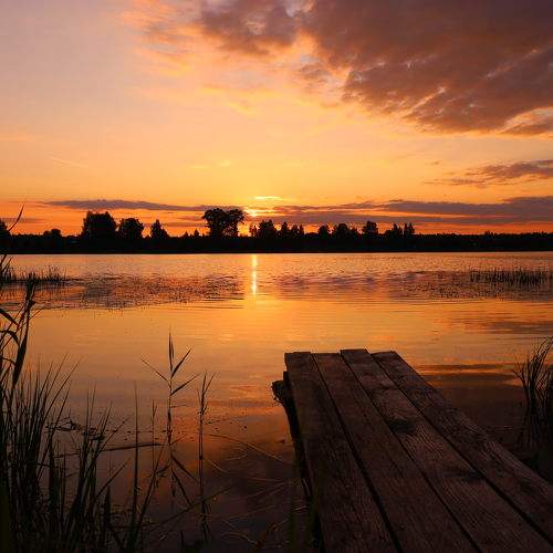 Photo #8605284