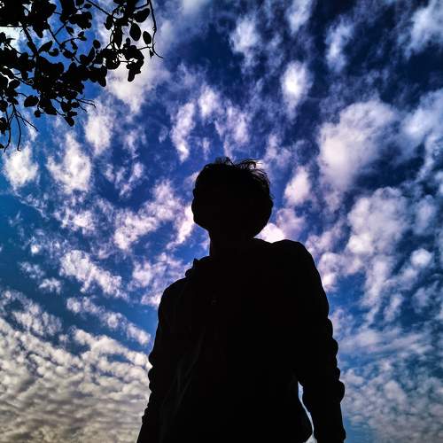 Photo #8605541