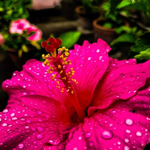 Photo #8605597