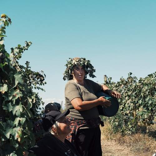 Photo #8605634