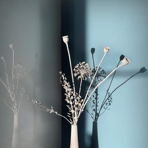 Photo #8605703