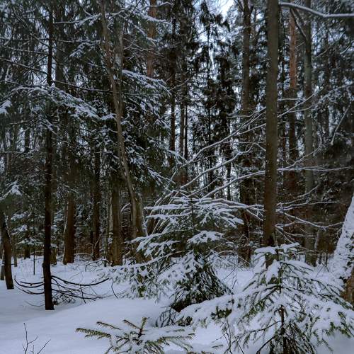 Photo #8605956