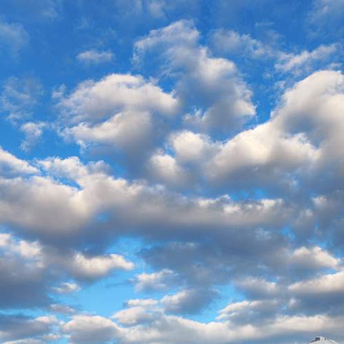 Photo #8605978