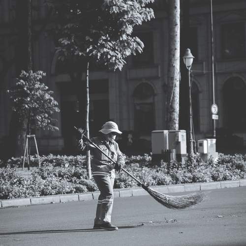 Photo #8606340