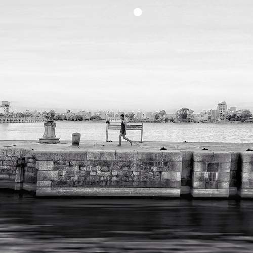 Photo #8606343